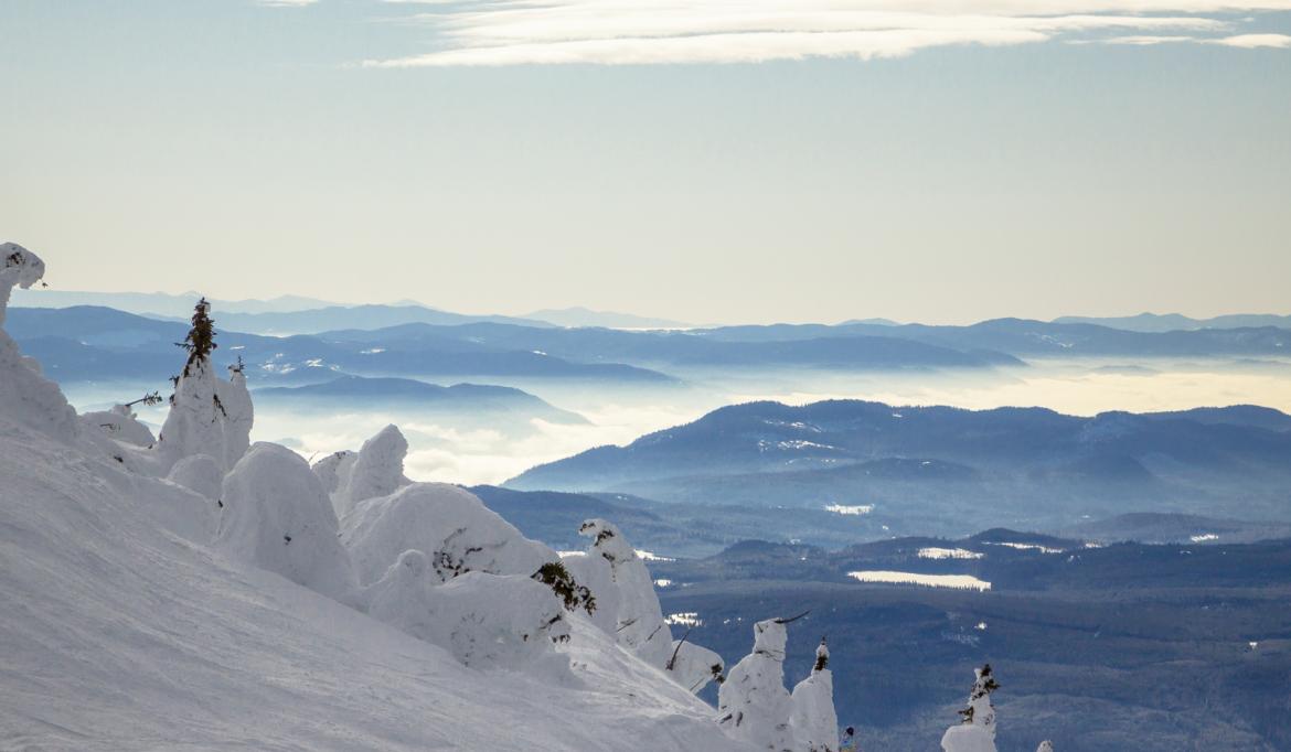 The summers are shorter in these regions but are warm and dry, while the winters produce more snow and remain below freezing for long periods of time.