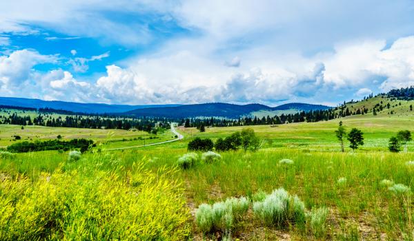 The Nicola Valley Grasslands ecosystem hosts a wide variety of flora and fauna stretching throughout the diverse terrain and elevation.  How To Insulate For Your Region: Nicola Valley | Okanagan Insulation Services